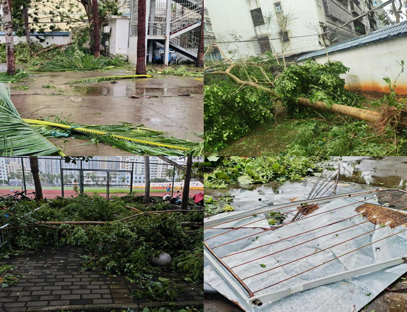 爱爱啦
教职工返校清理校园 做好灾后恢复工作