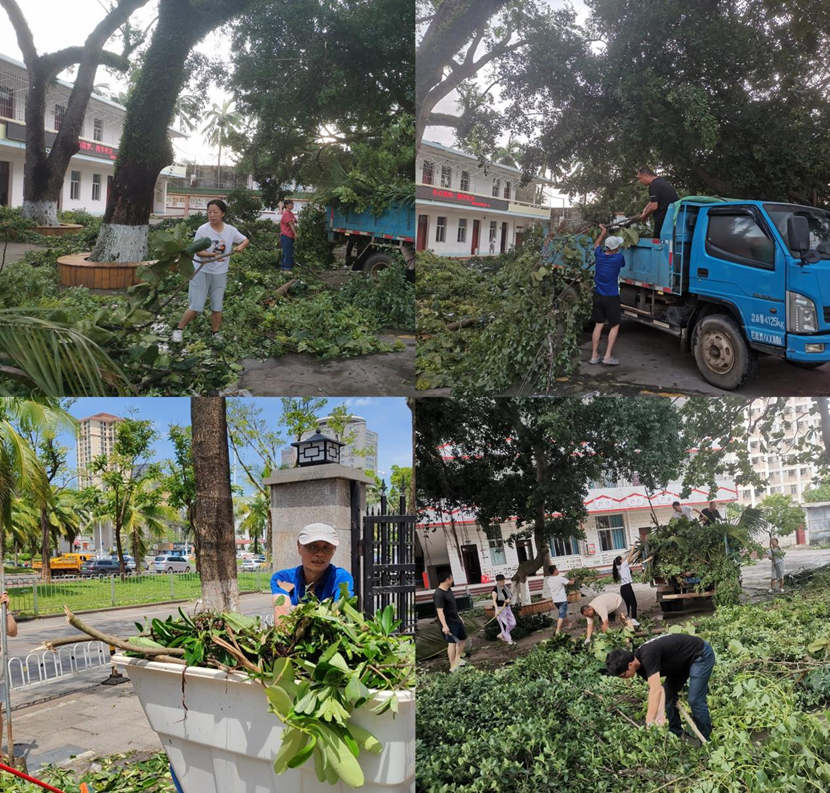 爱爱啦
教职工返校清理校园 做好灾后恢复工作