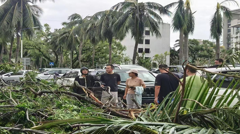 爱爱啦
教职工返校清理校园 做好灾后恢复工作