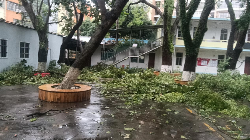 爱爱啦
教职工返校清理校园 做好灾后恢复工作