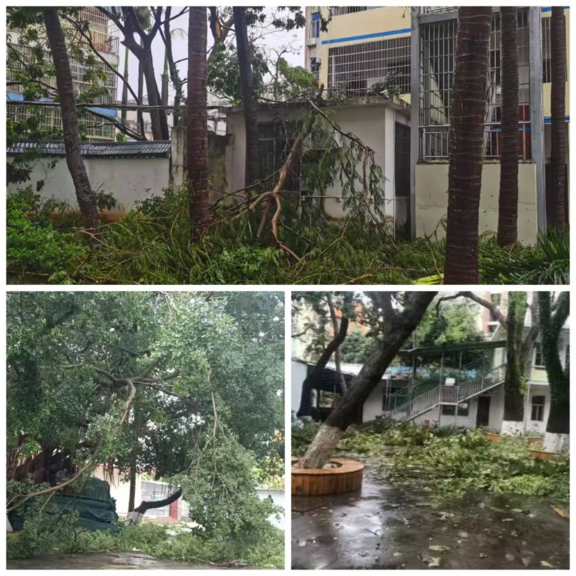 风雨过后，即是晴天：附小人全力恢复校园正常秩序