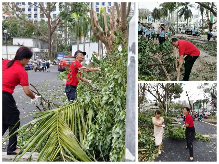 风雨过后，即是晴天：附小人全力恢复校园正常秩序