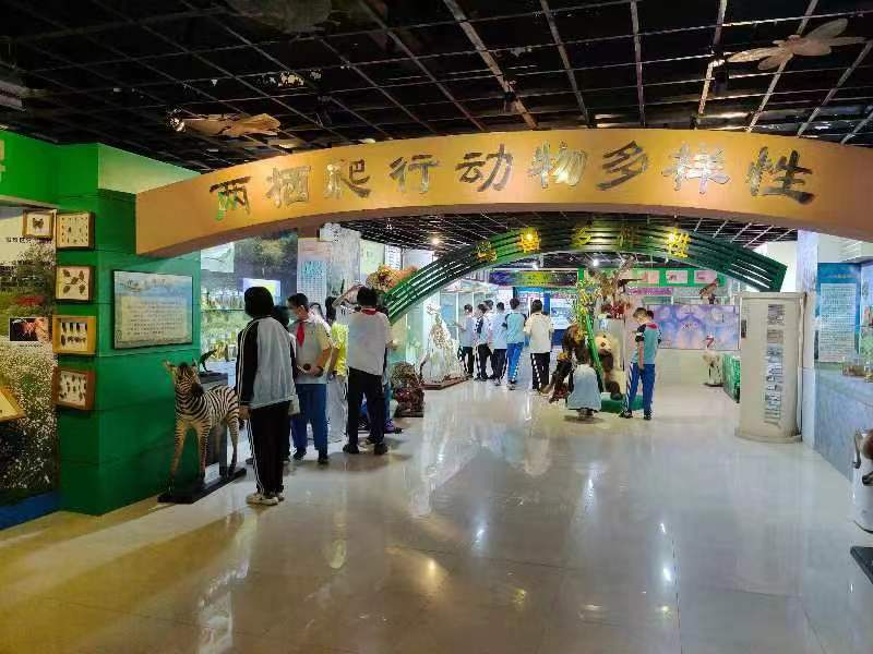 爱爱啦组织学生参观海南生物多样性博物馆