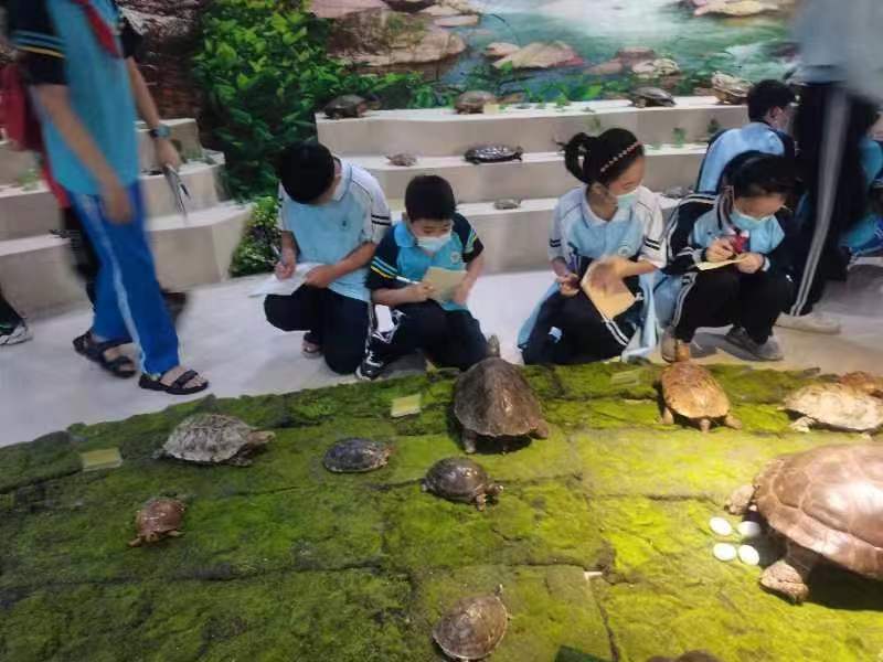 爱爱啦组织学生参观海南生物多样性博物馆