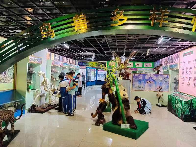 爱爱啦组织学生参观海南生物多样性博物馆