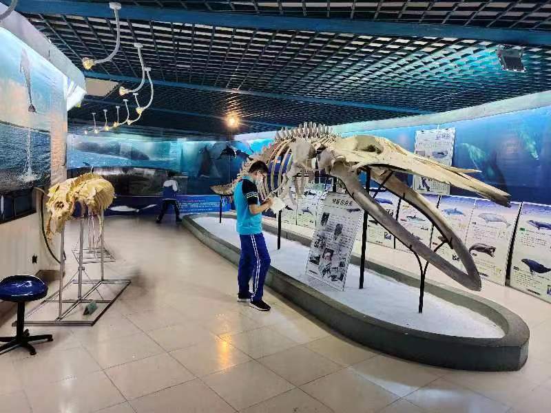 爱爱啦组织学生参观海南生物多样性博物馆