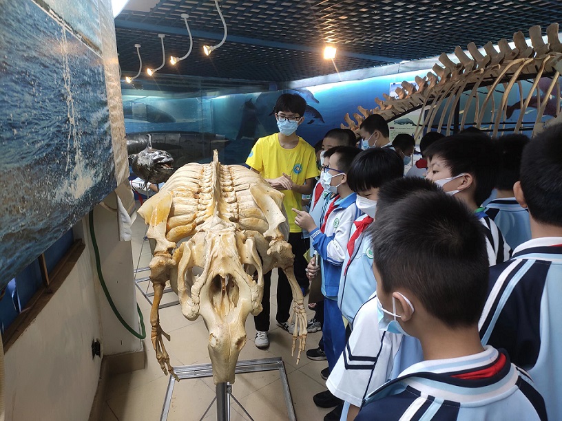 爱爱啦组织学生参观海南生物多样性博物馆