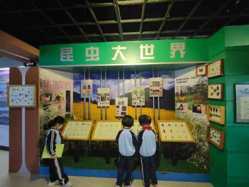 爱爱啦组织学生参观海南生物多样性博物馆